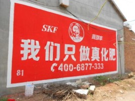 清流刷墙广告”蕴含了时代命题