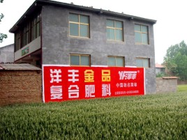 清流如何让墙体广告展现最大化效果