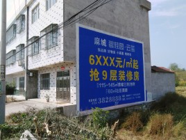 清流墙体广告质量分析
