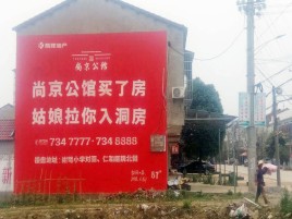 清流墙体广告在乡镇、农村市场的媒体优势