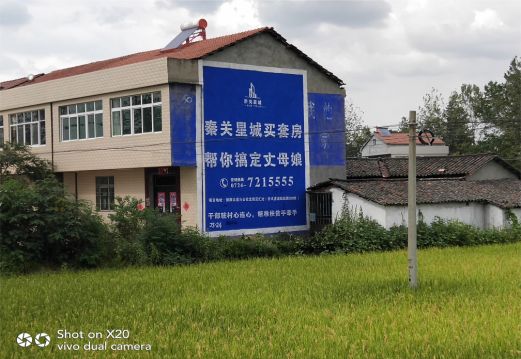 清流决定墙体广告价格的因素有哪些？