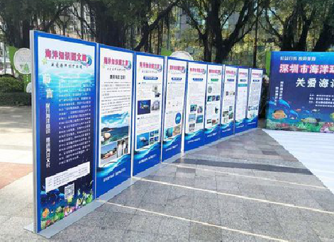 清流KT板的种类和知识。